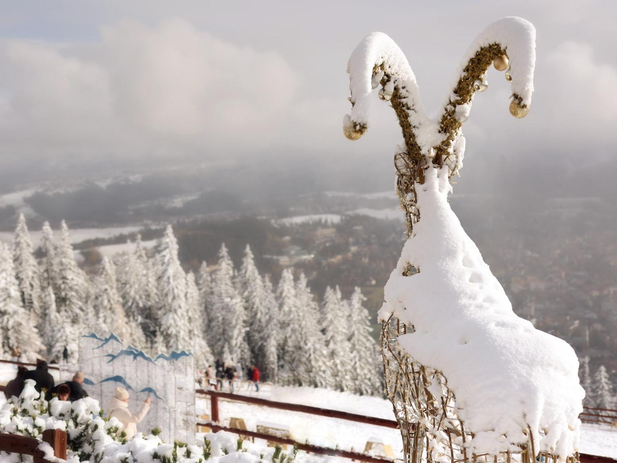 Willa Wygrodzisko Zakopane Exterior foto